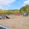 a dog park with agility obstacles