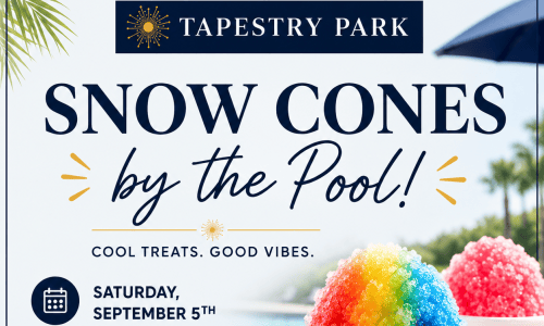 Snow Cones By The Pool Cover Image